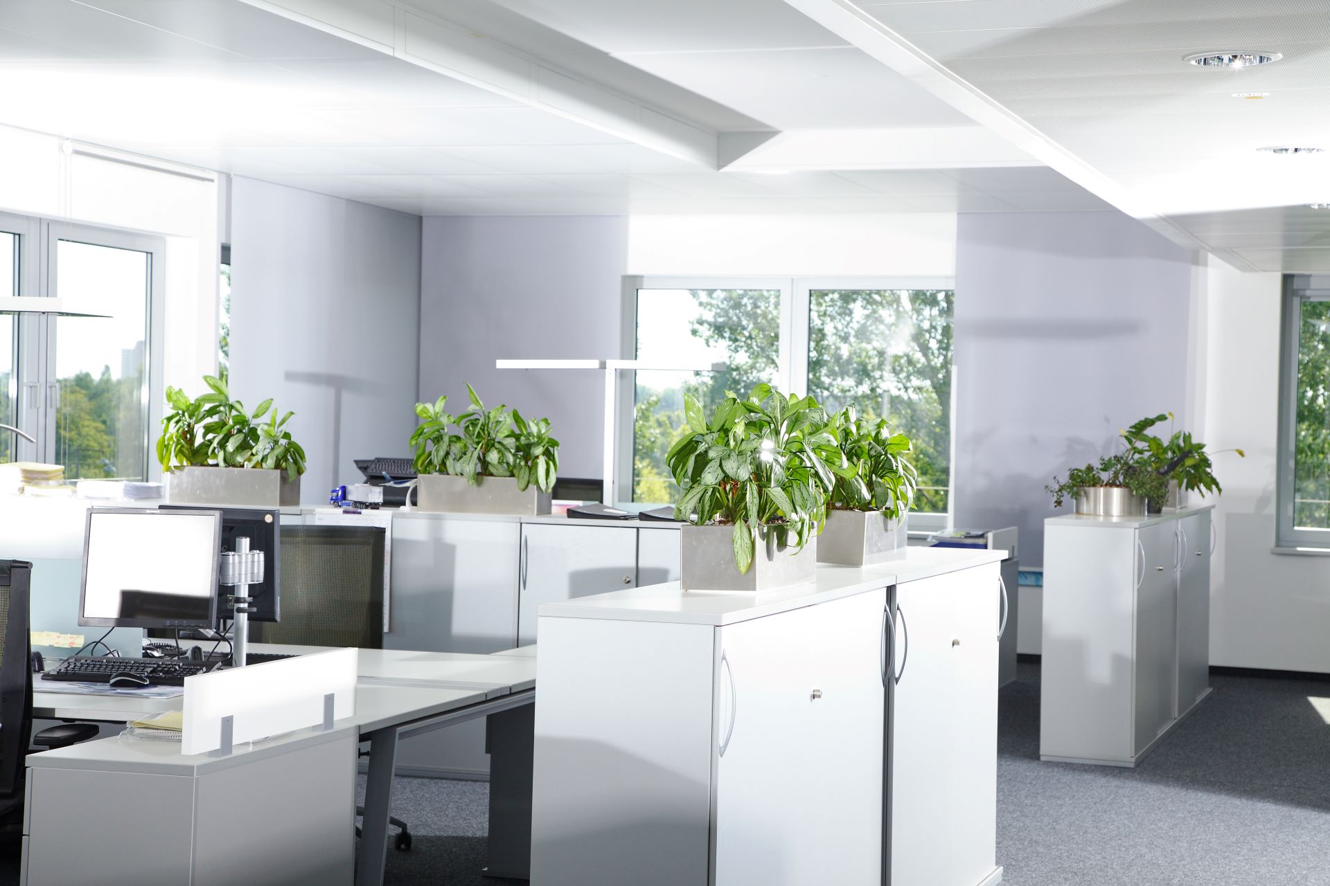 Resume Writing Services Ramsgate Beach NSW